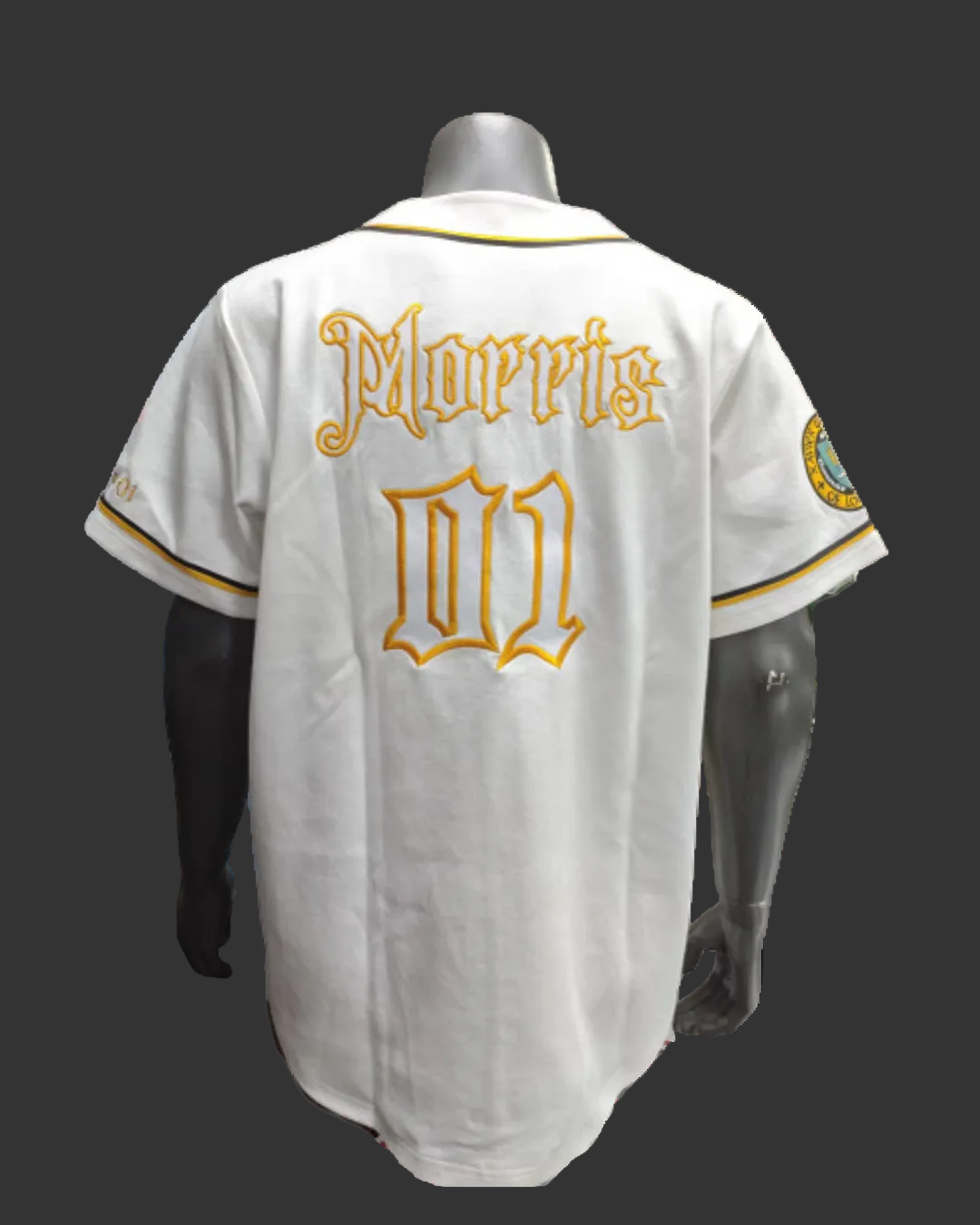 Class of 2001 Alumni Baseball Jersey
