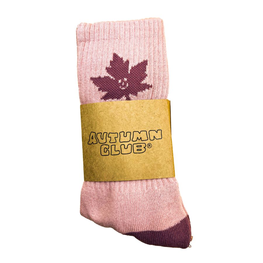 WTR UR SEED Socks Buy 3 & Get 1 Free